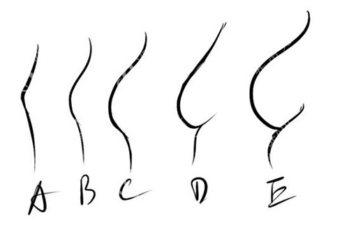 各種胸部罩杯大小示意圖